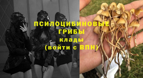 кокаин Алексеевка