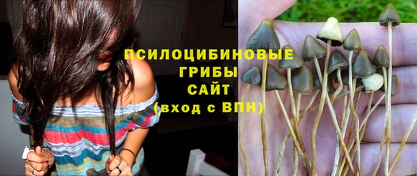 кокаин Алексеевка